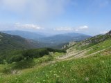 IMG_0119