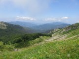IMG_0120