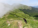 IMG_0121