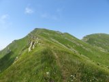 IMG_0124