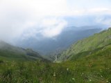 IMG_0126