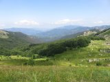 IMG_0127