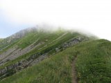 IMG_0129