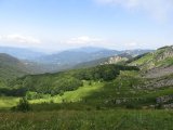 IMG_0130