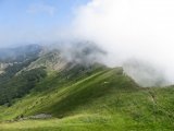IMG_0132