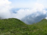 IMG_0137