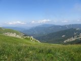 IMG_0138
