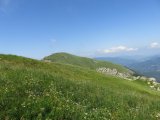 IMG_0139