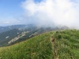 IMG_0141
