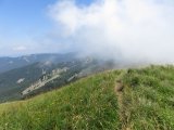 IMG_0142