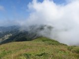 IMG_0155