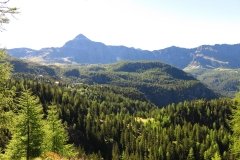 img_0005