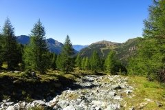 img_0012