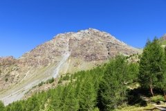 img_0014