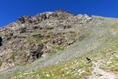 img_0030