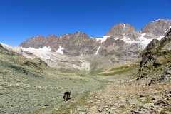 img_0040