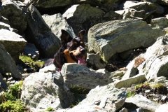img_0056
