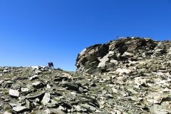 img_0132