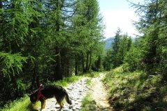img_0300