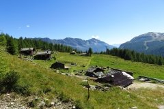 img_0316
