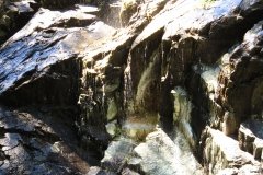 img_0352