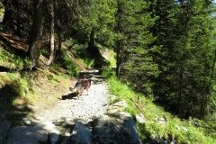 img_0360
