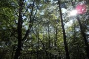 Oropa2011-083