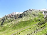 IMG_0010