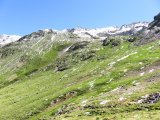 IMG_0015