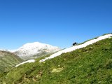 IMG_0037