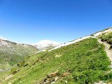 IMG_0041
