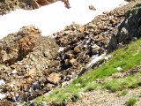 IMG_0059