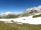 IMG_0101