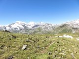 IMG_0115