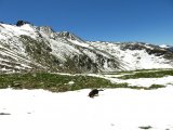IMG_0131