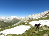 IMG_0134