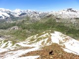 IMG_0182