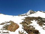 IMG_0220