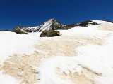 IMG_0225