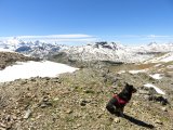 IMG_0235