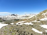 IMG_0244