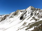 IMG_0245