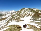 IMG_0253