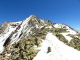 IMG_0261