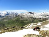 IMG_0266