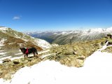 IMG_0275