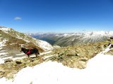 IMG_0279