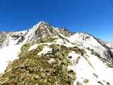 IMG_0284