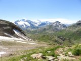 IMG_0310