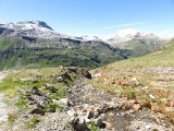 IMG_0314
